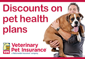 Pet Insurance